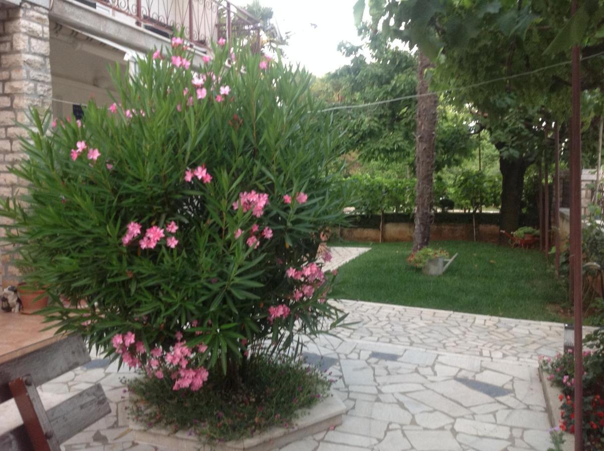 Vila Alma Poreč Exteriér fotografie